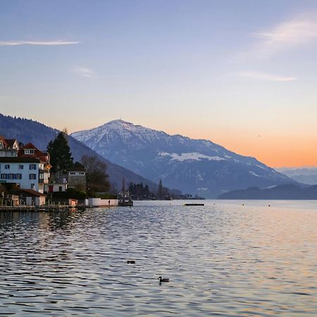 Ariser - Zug Mountain View Business Apartment Esterno foto